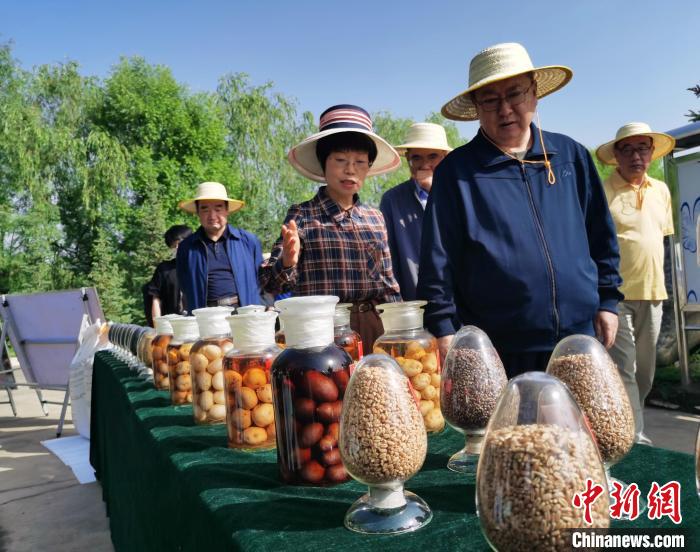 青海：利用冷涼氣候，打造高原綠色種業(yè)輸出地