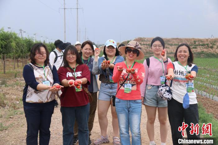 圖為臺胞體驗大美內(nèi)蒙古?！⊥袐I供圖