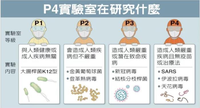 P4實(shí)驗(yàn)室在研究什么。臺(tái)灣聯(lián)合新聞網(wǎng)資料圖