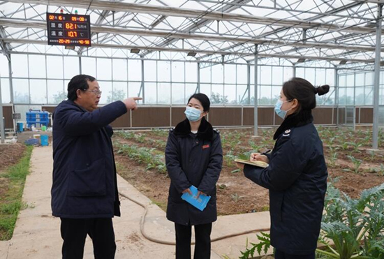 稅務干部走進常德市西洞庭管理區(qū)的朝鮮薊種植基地，宣傳稅費優(yōu)惠政策，助力農(nóng)企搶農(nóng)時、抓春耕、穩(wěn)增長。吳家豪攝