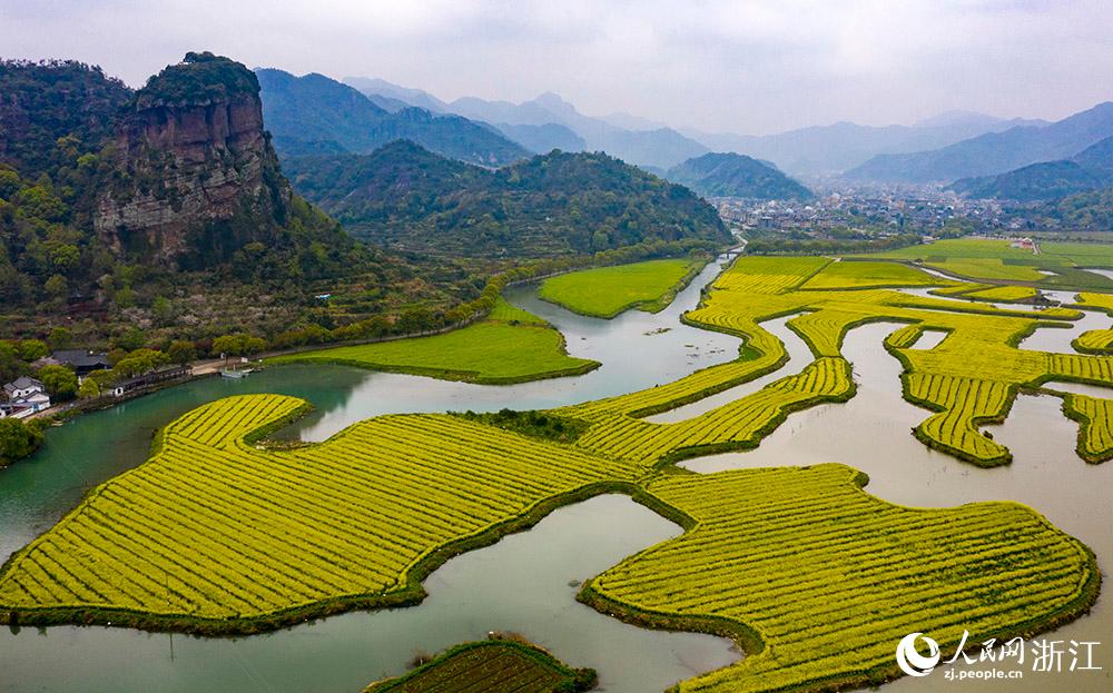 3月28日，航拍浙江省臨海市桃渚鎮(zhèn)桃江十三渚盛開(kāi)的油菜花景色。人民網(wǎng) 章勇濤攝