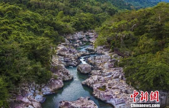 2018年海南生態(tài)環(huán)境狀況等級為“優(yōu)”，植被覆蓋率高，生物多樣性豐富，生態(tài)系統(tǒng)穩(wěn)定，圖為海南中部熱帶雨林?！●樤骑w　攝