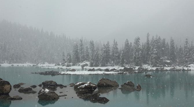 然烏湖春雪飄落美如畫游客湖邊拍照賞景