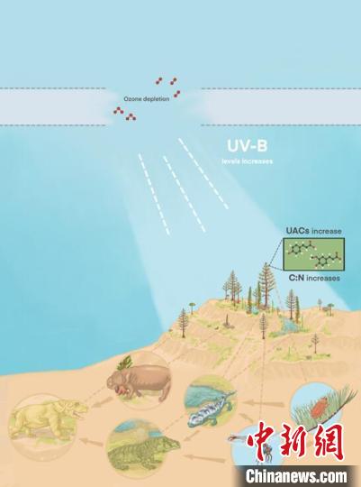臭氧層破壞引起的紫外線輻射增加對(duì)陸地食物鏈的影響?！∧瞎潘?供圖