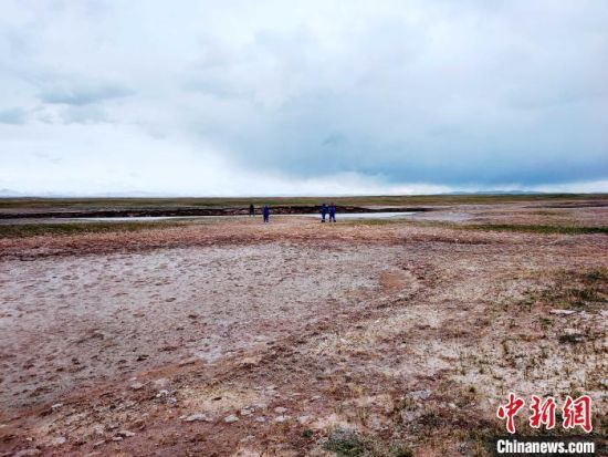 圖為救援力量在青海省西部搜救失聯(lián)的江蘇南京某大學(xué)女生黃某某。海西州藍(lán)天應(yīng)急救援中心 供圖