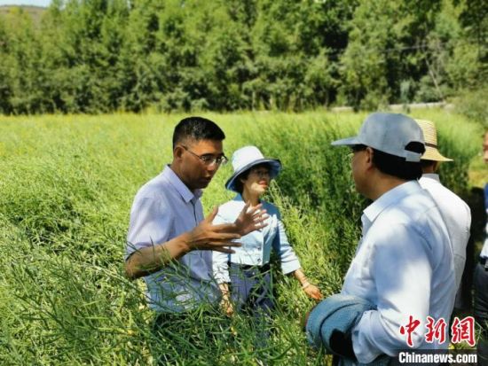 圖為九三學社青海省委主委杜德志(左一)在基層調研。受訪者供圖