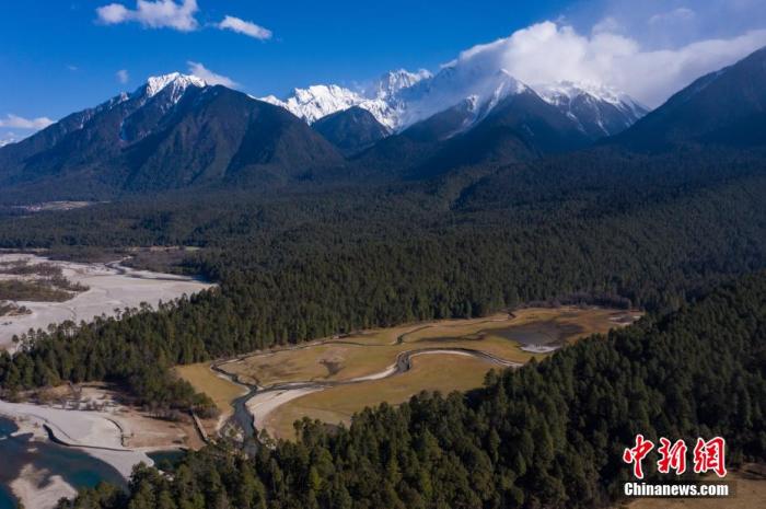 資料圖：西藏崗云杉林與遠處的雪峰。 何蓬磊 攝