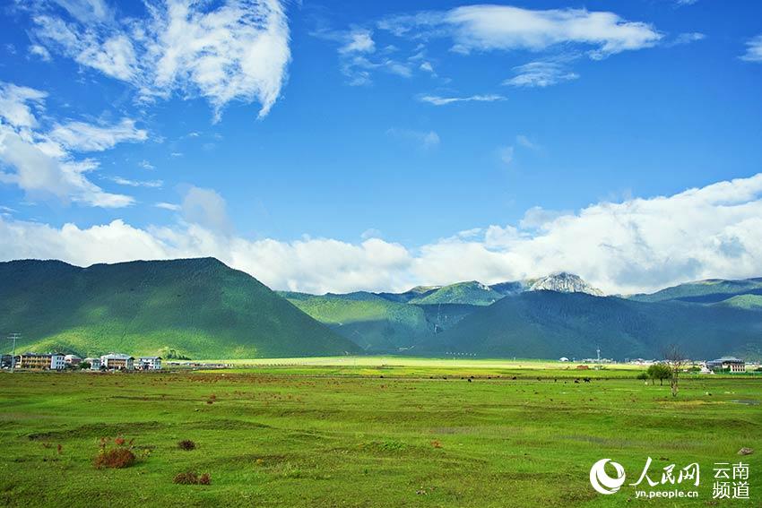 納帕海濕地風(fēng)景。呂昊辰攝