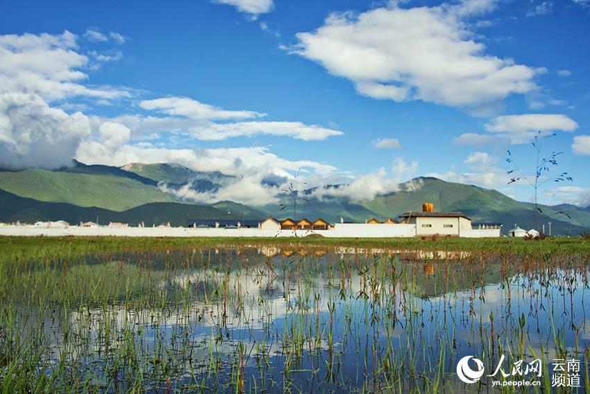 納帕海濕地風(fēng)景。呂昊辰攝