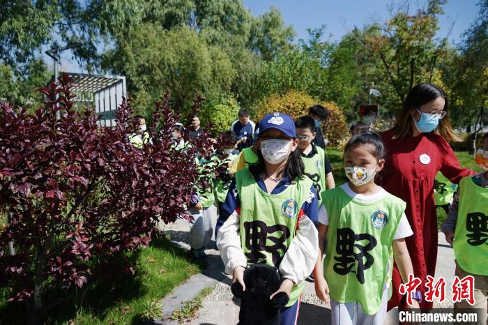 圖為小朋友在青海西寧湟水國家濕地公園內(nèi)認(rèn)識植物?！●R銘言 攝