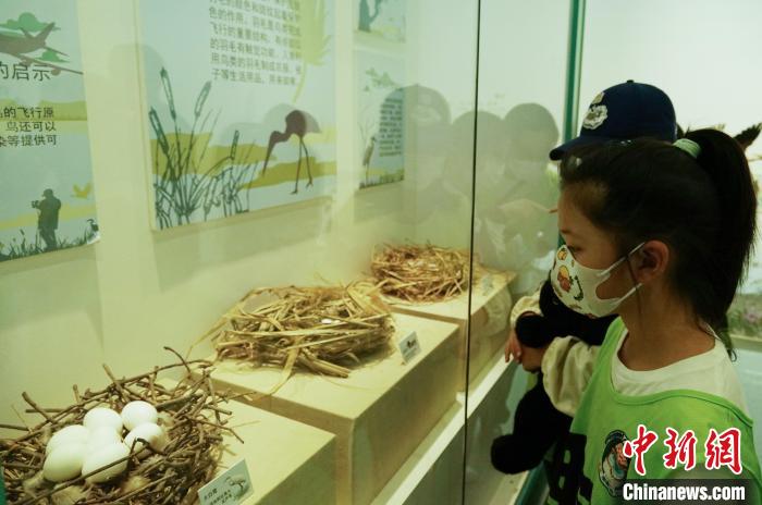 圖為小朋友在青海西寧湟水國家濕地公園科普館內(nèi)參觀學(xué)習(xí)?！●R銘言 攝