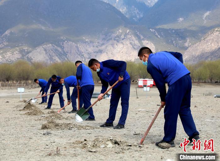 林芝市巴宜區(qū)森林消防中隊志愿服務隊正在揮鍬鏟土。　西繞拉翁 攝