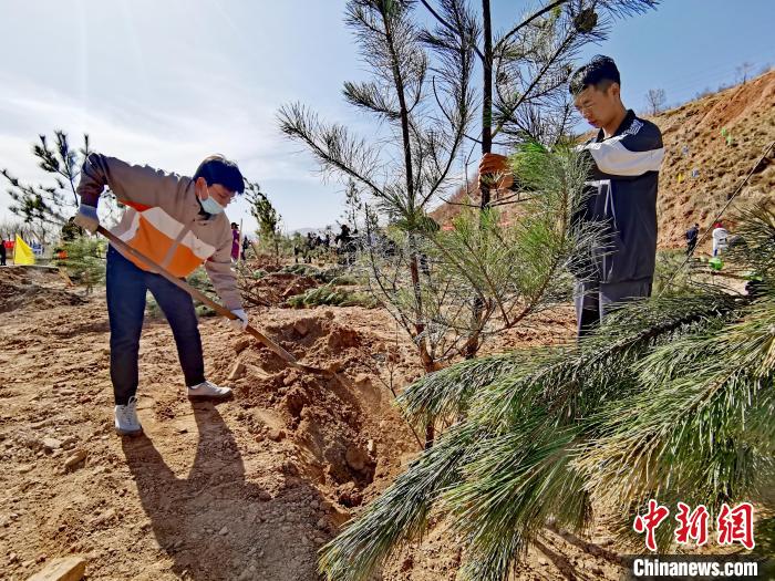 圖為西寧市城東區(qū)義務(wù)植樹活動現(xiàn)場?！?zhí)砀?攝