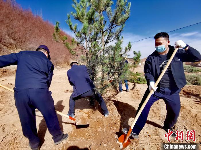 圖為西寧市城東區(qū)義務(wù)植樹活動現(xiàn)場?！?zhí)砀?攝