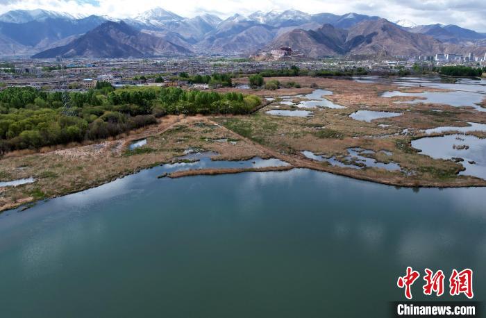 圖為拉薩拉魯濕地。(無人機照片) 李林 攝