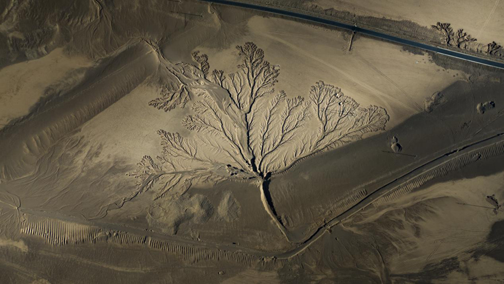 無人機視角下的西藏阿里地區(qū)改則縣“大地之樹”景觀。尼瑪多吉攝