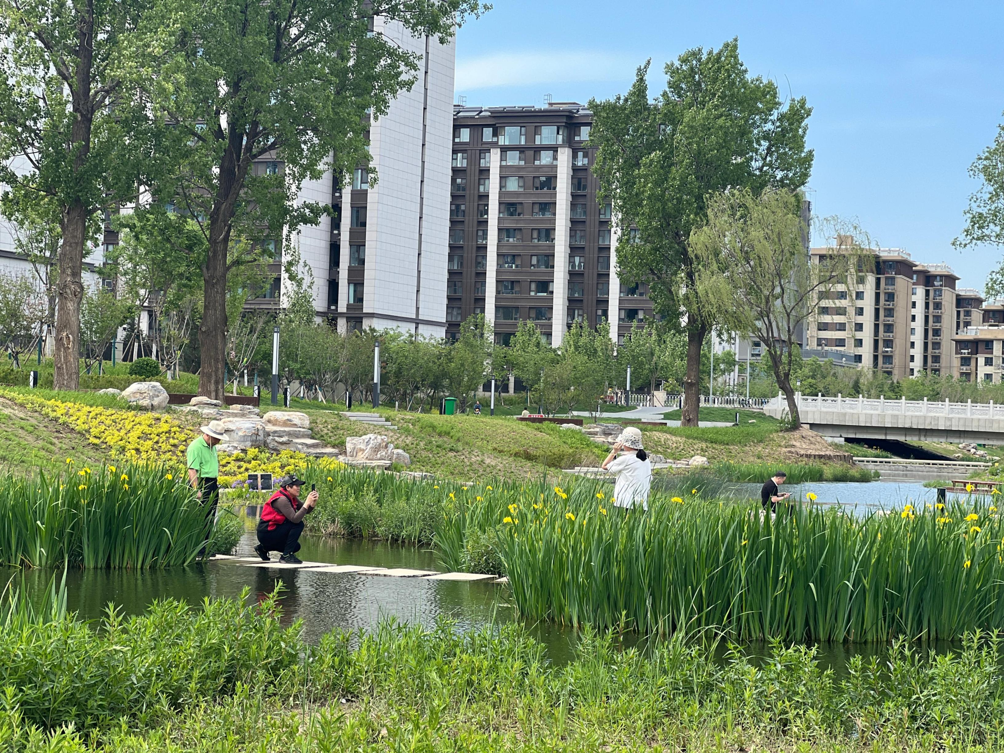 五一渠生態(tài)濱河公園內(nèi)，市民正在拍照留念。人民網(wǎng) 歐陽易佳攝