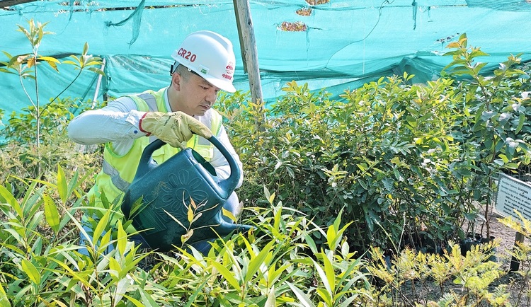 資訊有故事丨秘魯安第斯國家公路項目 “為當?shù)孛癖娦藿ㄐ腋：陀颜x之路”