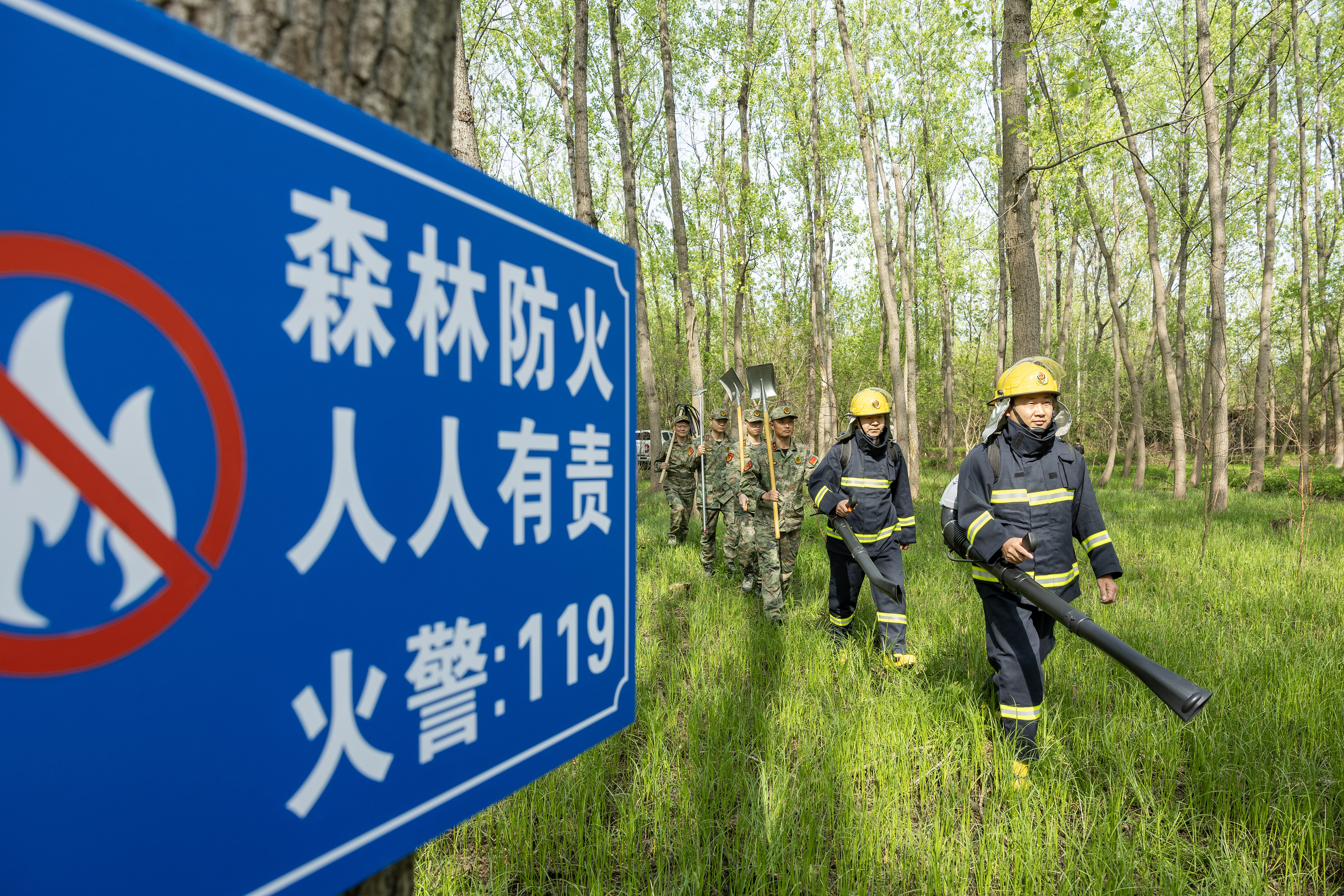 2024年4月9日，合肥市大房郢水庫水源保護(hù)地廬陽經(jīng)濟(jì)開發(fā)區(qū)段，基干民兵正在林間巡查火災(zāi)隱患。