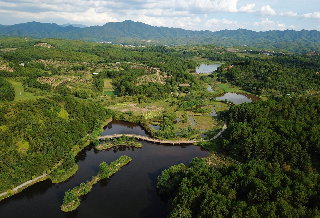 福建省龍巖市長汀縣的長汀汀江國家濕地公園景色（2020年7月28日攝，無人機(jī)照片）。新華社記者 魏培全 攝