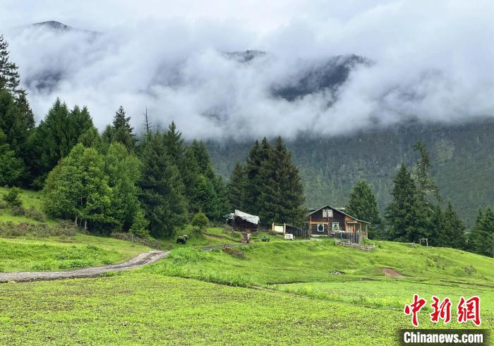 6月10日，魯朗小鎮(zhèn)高山牧場景區(qū)風(fēng)光?！∪轿木?攝