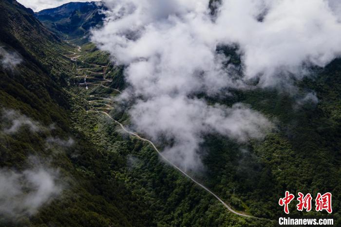 西藏山南勒布溝景區(qū)的盤山公路被云霧環(huán)繞?！〗w波 攝