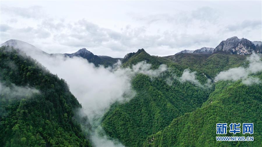 （美麗中國(guó)）（3）甘肅舟曲：云霧飄渺 岷山如畫(huà)