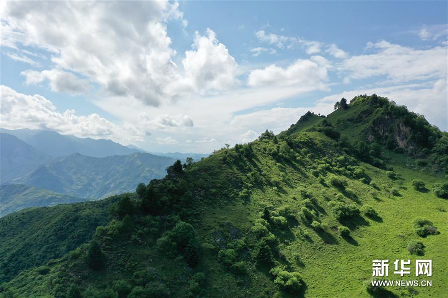 （新華視界）（3）甘肅舟曲：夏日藏鄉(xiāng)畫(huà)中景