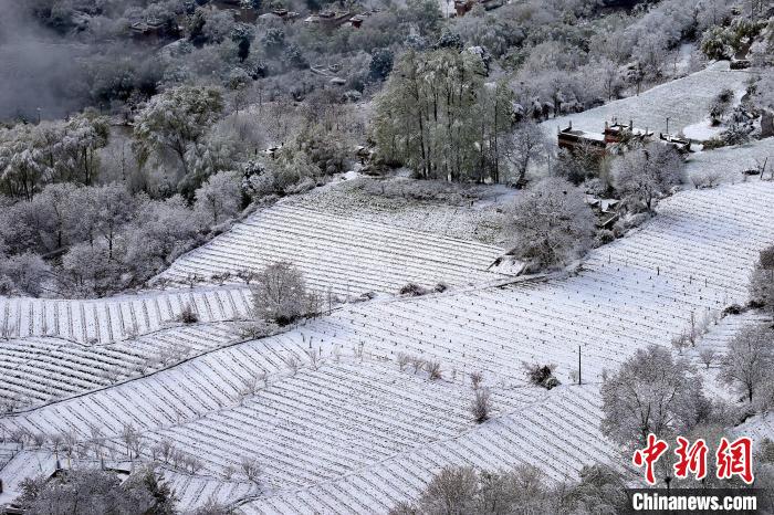 雪后的高山田間如畫。　李永安 攝