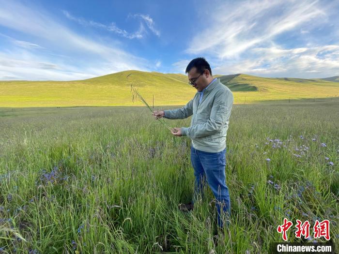 青海達(dá)日“援青縣長(zhǎng)”：雪域高原生態(tài)、民生“并蒂花開(kāi)”