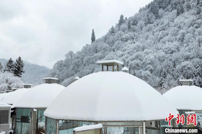 大熊貓國家公園王朗片區(qū)春雪如畫，宛若仙境?！×_春平 攝