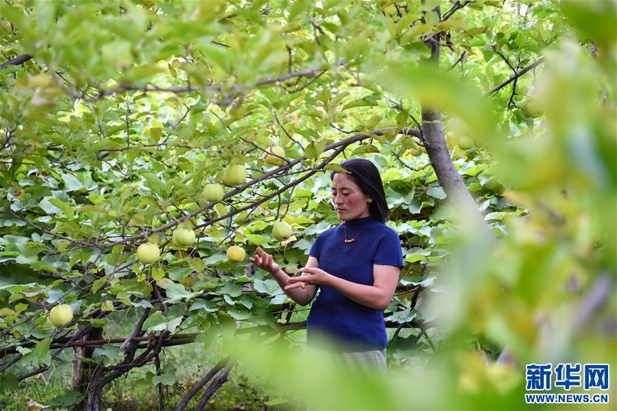 （決戰(zhàn)決勝脫貧攻堅(jiān)·圖文互動(dòng)）（2）從賣(mài)菜“小保姆”到農(nóng)家樂(lè)“老板”——其美拉姆的創(chuàng)業(yè)路