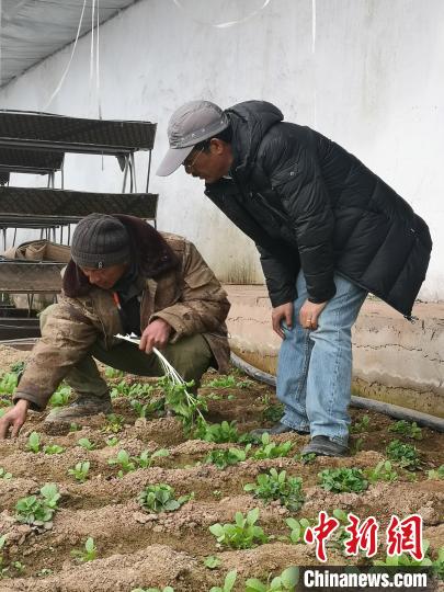 圖為尼瑪扎西(右)與西藏農(nóng)民聊天(資料圖)。西藏農(nóng)科院 供圖