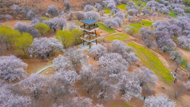 林芝嘎拉村。 張靜攝