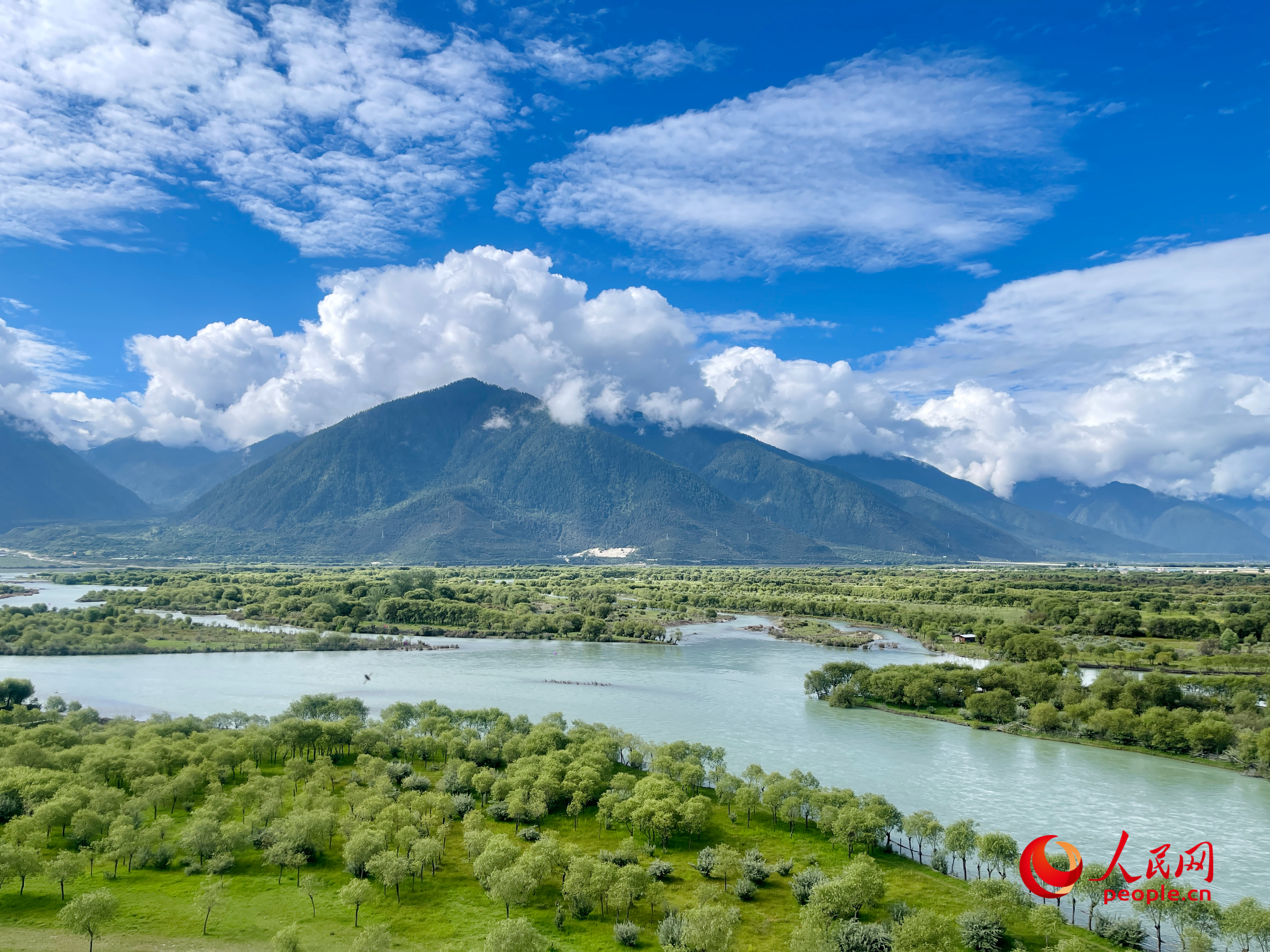 夏日的雅尼國家濕地公園生機(jī)盎然，如詩如畫。人民網(wǎng) 周靜圓攝