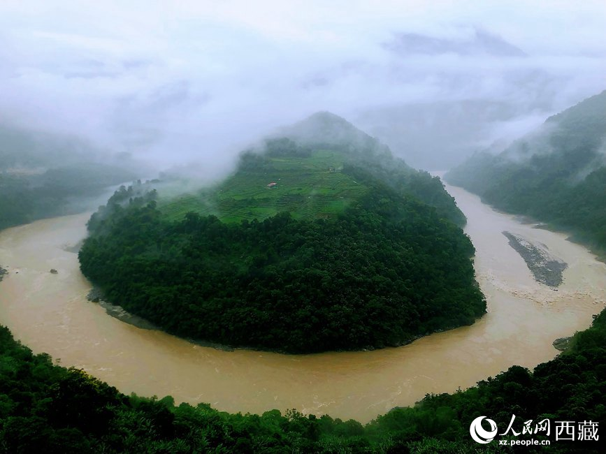 雅魯藏布江大峽谷蛇形拐彎處，山坡上種滿茶樹。